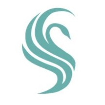 Различные виды массажа от 40 р. в салоне &quot;Swansea&quot;